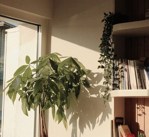 How to Create a Cozy Reading Corner at Home